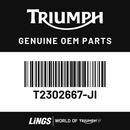 Kit, Side Panel, Upper, LH (T2302667-JI) barcode