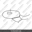 Decal fuel tank (T2302845)