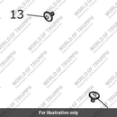 Rear Bodywork, RH (T2302890-LS)