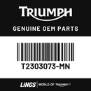 Sidepanel, LH, Painted (T2303073-MN) barcode