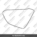 Sidepanel, RH, Painted (T2303075-MN)