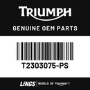 Sidepanel, RH, Painted (T2303075-PS) barcode