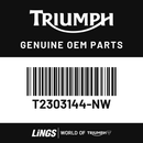 Panel, Bellypan, LH (T2303144-NW) barcode