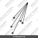 Nut, Hex Cap, M6, SS (T2303467)