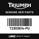 Side Panel, RH (T2303614-PU) barcode