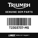 Rear Bodywork, Paint & Dec, RH (T2303737-MS) barcode