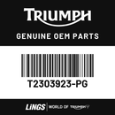 Sidepanel, RH, Painted (T2303923-PG) barcode