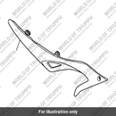 Side, Rear, RH, Green (T2304201-HG)