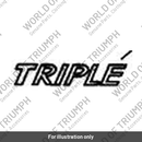 Decal, Rear, Side, RH (T2304282)