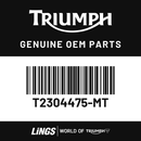 Bracket, Mudguard, RH (T2304475-MT) barcode