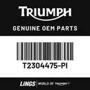 Bracket, Mudguard, RH (T2304475-PI) barcode
