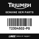Side panel rh (T2304502-PG) barcode