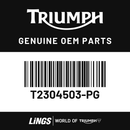 Side panel lh (T2304503-PG) barcode