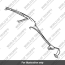 Side panel lh (T2304814-FA)