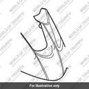 Beak Panel Moulding, Pntd (T2305315-LK)