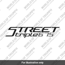 Decal, Rear Panel, Silver/Black (T2305431)