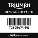 Rear Bodywork, RH (T2305474-PG) barcode
