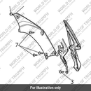 Screen Panel, Pntd, LH (T2305529-PS)