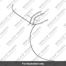 Strap (T2305686)