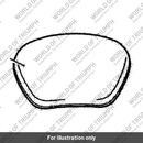 Pad, Longhaul, Backrest (T2305993)