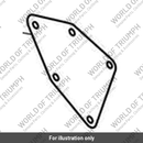 Mesh, Sidepanel, Double Layer (T2306164)