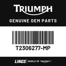 Sidepanel, LH, Silver Ice (T2306277-MP) barcode