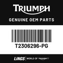 Side Panel, RH, Jet Black (T2306296-PG) barcode