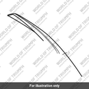 Decal, Rad Cowl, XRx (T2306456)
