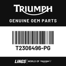 Sidepanel, RH, Painted (T2306496-PG) barcode