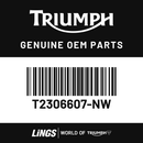 Rear Side Panel, LH (T2306607-NW) barcode