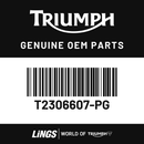 Rear Side Panel, LH (T2306607-PG) barcode