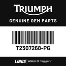 Panel, Tank, LH (T2307268-PG) barcode