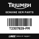 Side Panel, RH, Sapphire Black (T2307929-PM) barcode