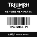 Side Panel, Pntd, LH (T2307964-PI) barcode