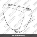Sidepanel, RH, Painted (T2308802-PG)