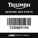 Rad Cowl, Outer, LH, Painted (T2308871-PG) barcode