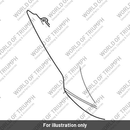 Rear Bodywork, RH (T2309186-PG)