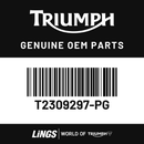 Rear Mudguard (T2309297-PG) barcode
