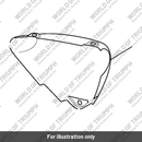 Sidepanel, LH Painted (T2309408-PG)