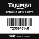 Sidepanel, RH, Painted (T2309431-JI) barcode