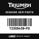 Sidepanel, RH, Painted (T2309439-PG) barcode