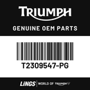 Sidepanel, RH, Painted (T2309547-PG) barcode
