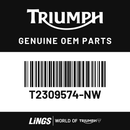 Fairing, Upper, RH (T2309574-NW) barcode
