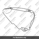 Sidepanel, LH, Painted (T2309667-PG)