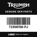 Front Mudguard Bracket, RH, Pntd (T2309708-PJ) barcode