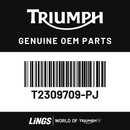 Front Mudguard Bracket, LH, Pntd (T2309709-PJ) barcode