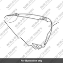 Sidepanel, LH, Painted (T2309735-PG)