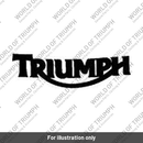 Decal, Fuel Tank (T2309744)