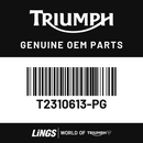 Rear Panel, RH, Jet Black (T2310613-PG) barcode