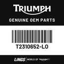 Tank Panel, RH, Rally, Satin Granite (T2310652-LO) barcode